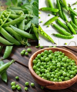 Hạt giống đậu hà lan