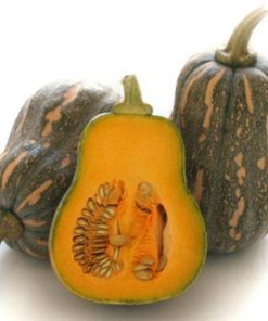 Hạt giống bí đỏ