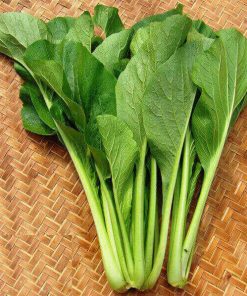 Hạt giống cải ngọt