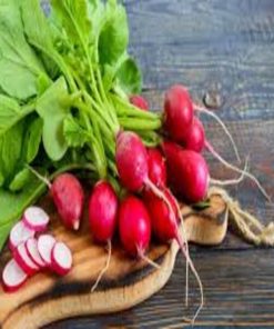 Hạt giống củ cải đỏ