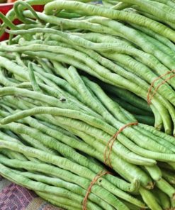 Hạt giống đậu đũa