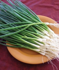 Hạt giống hành hoa